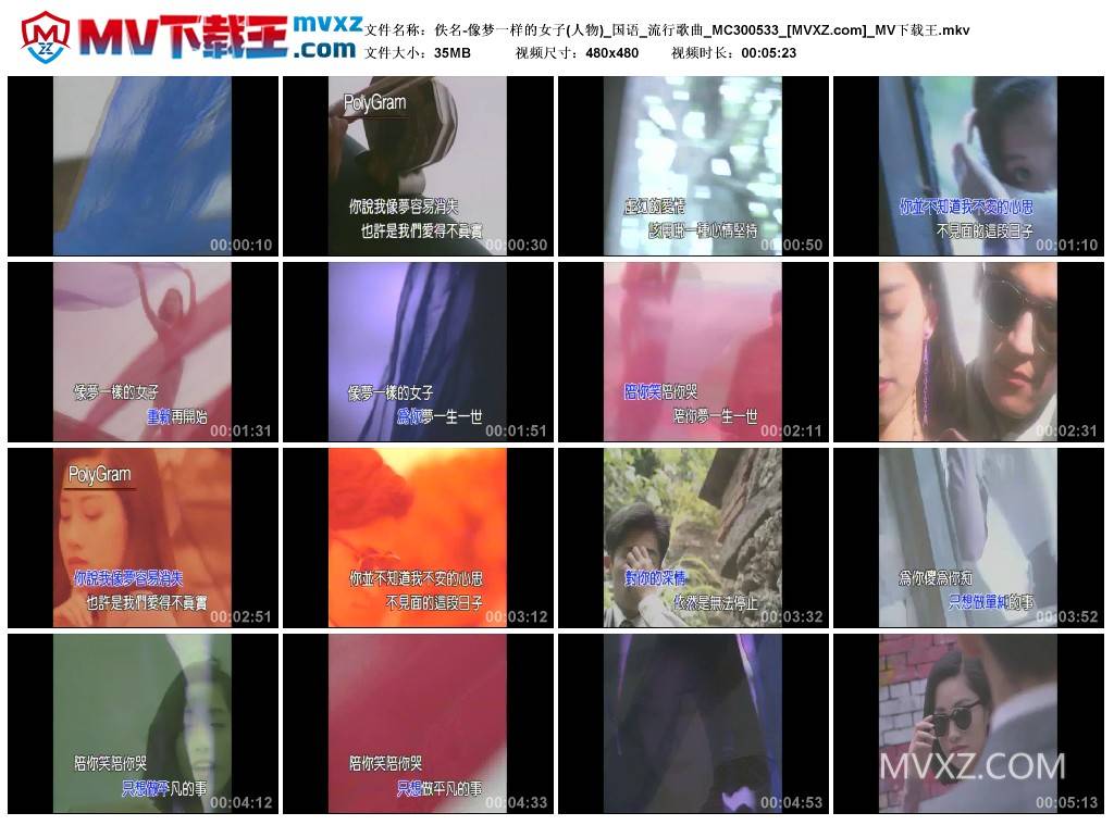 佚名-像梦一样的女子(人物)_国语_流行歌曲_MC300533
